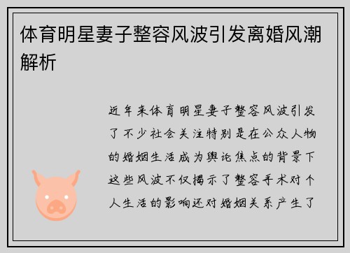 体育明星妻子整容风波引发离婚风潮解析