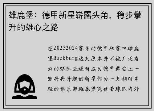 雄鹿堡：德甲新星崭露头角，稳步攀升的雄心之路